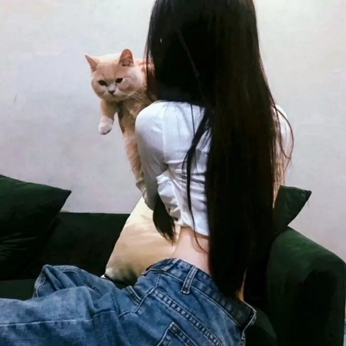 如何孤独终老